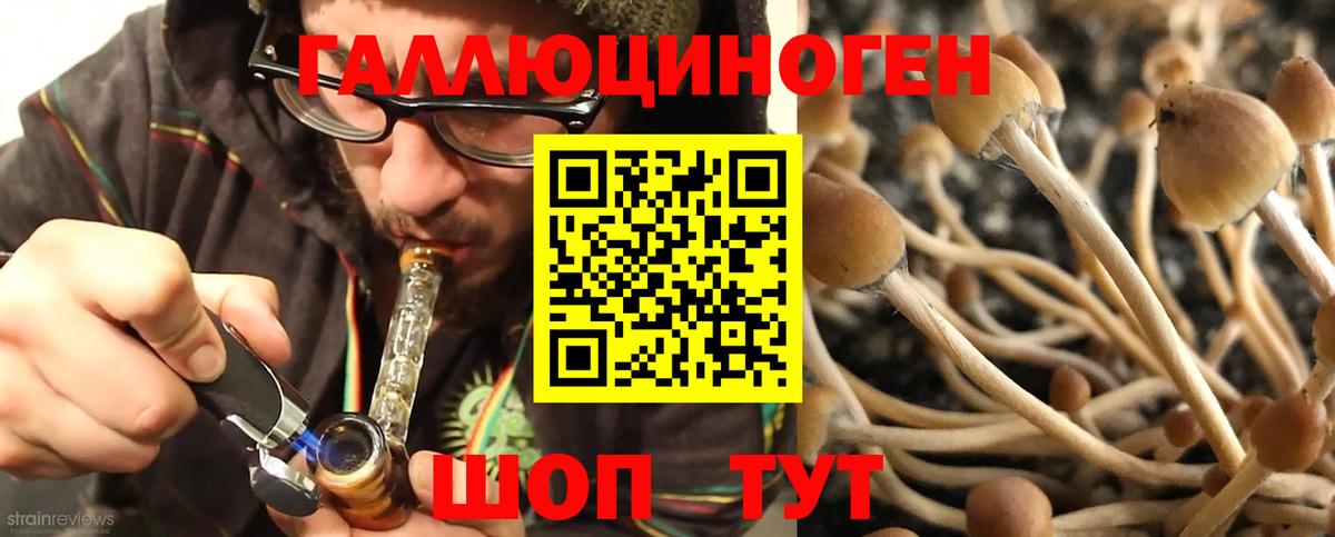 Псилоцибиновые грибы Magic Shrooms Учалы