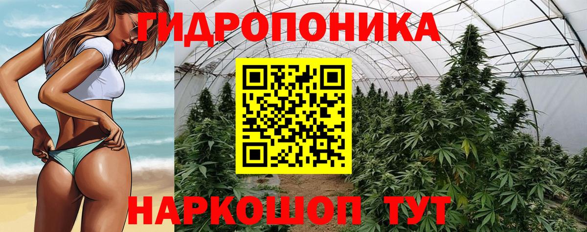 Канабис AK-47  Вход с VPN  Канабис OG Kush  Конопля сатива  Учалы 